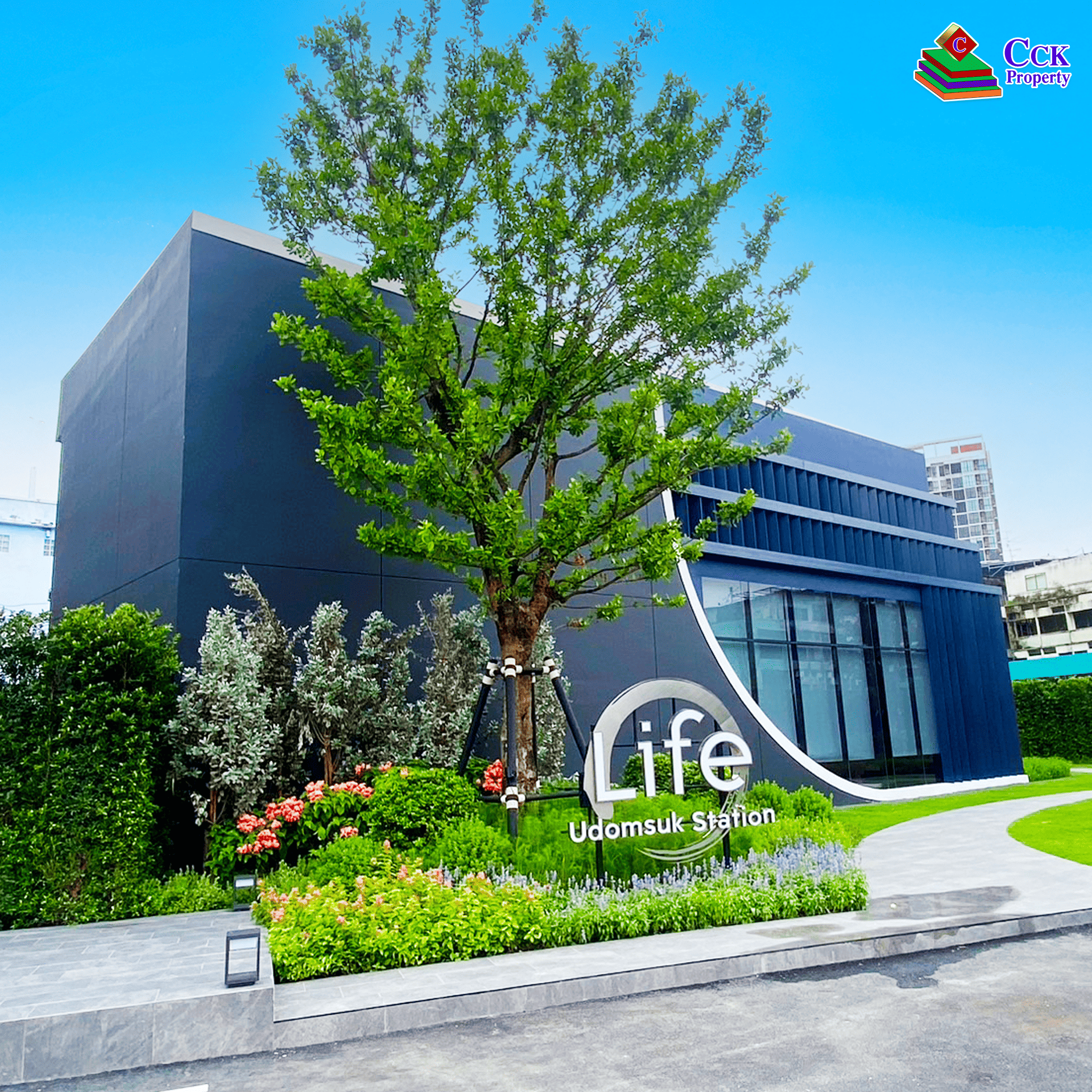 CCK Property